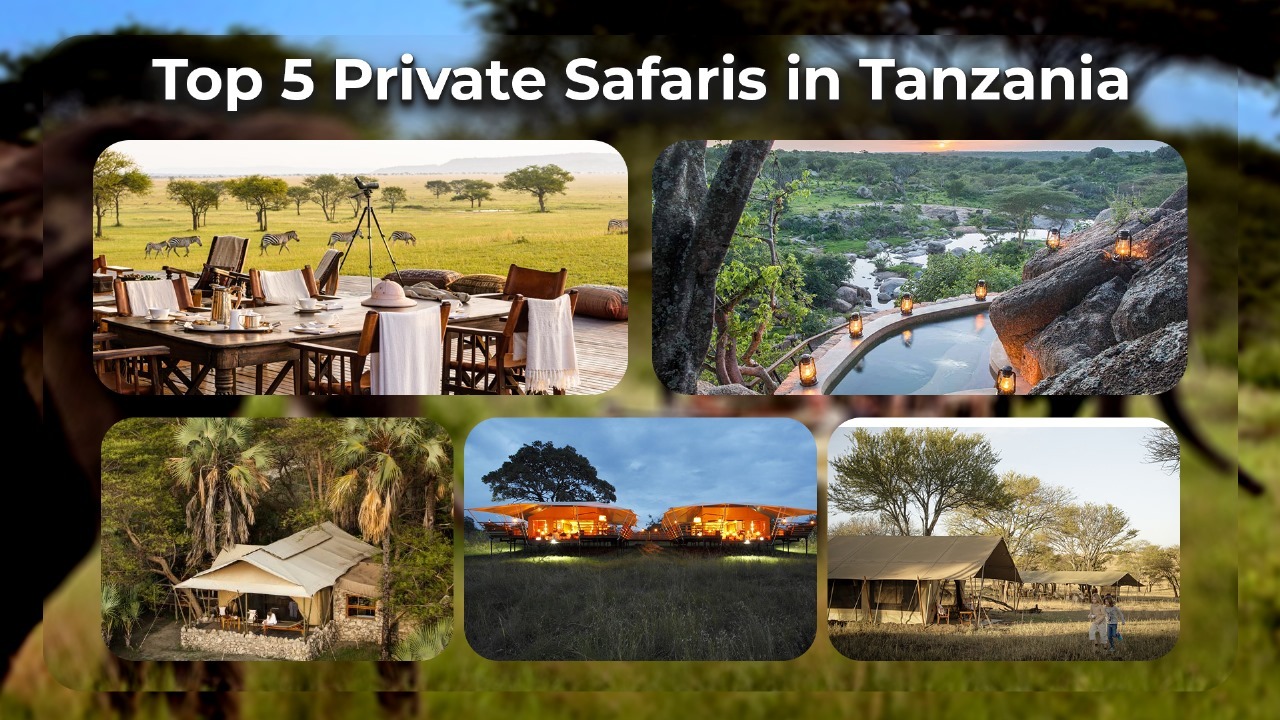 Top 5 Private Safaris in Tanzania