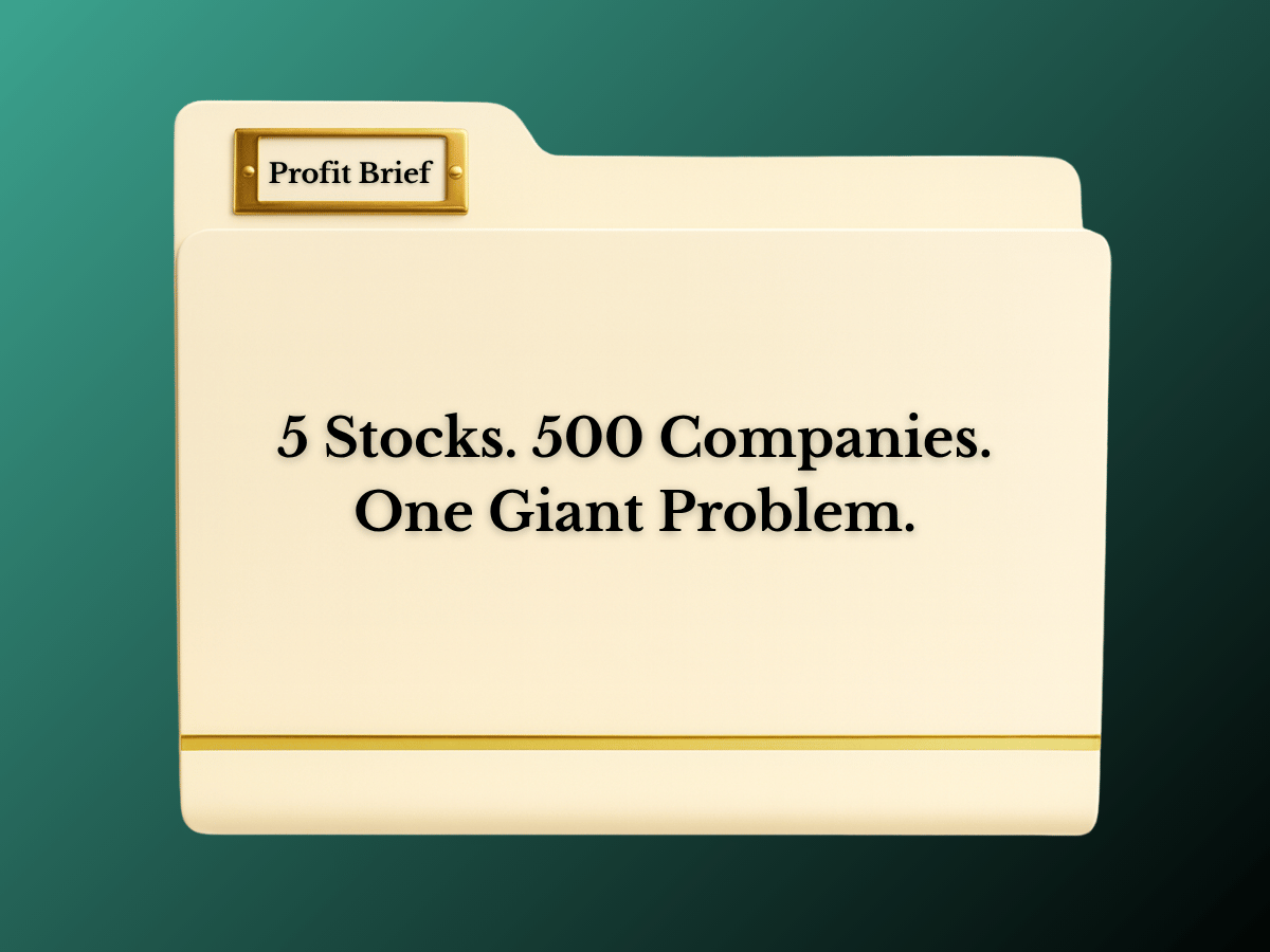 5 Stocks. 500 Companies. One Giant Problem.