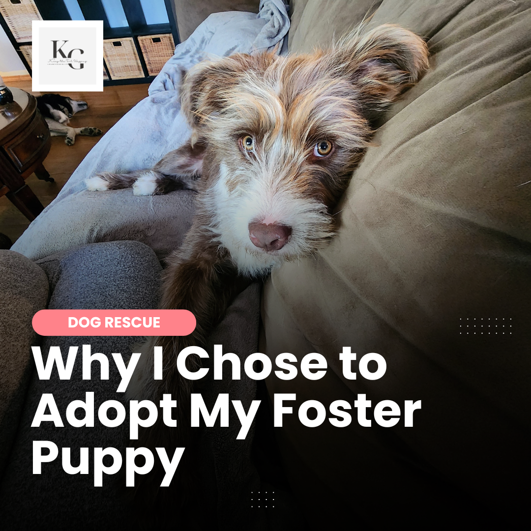 Why I Chose to Adopt My Foster Puppy