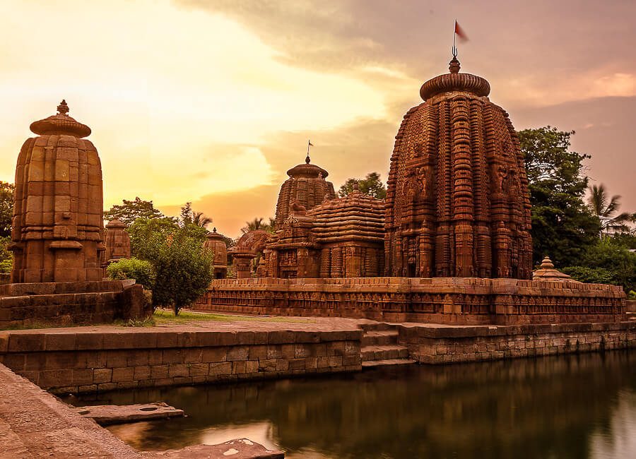 144 - 🌱 Local actions, global impact 