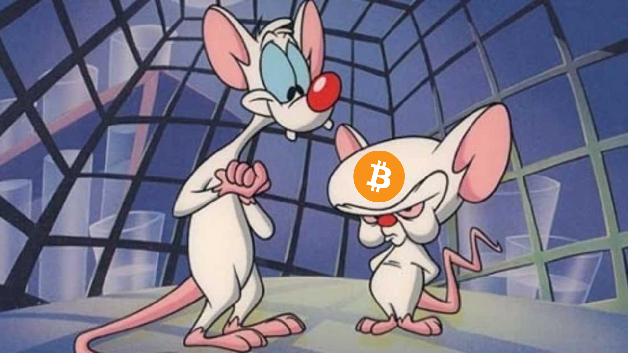 ⚡4 herramientas para que DOMINES el mundo CRYPTO💰