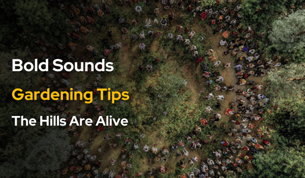 🍂 Hills Happenings | Nov 19 - 25