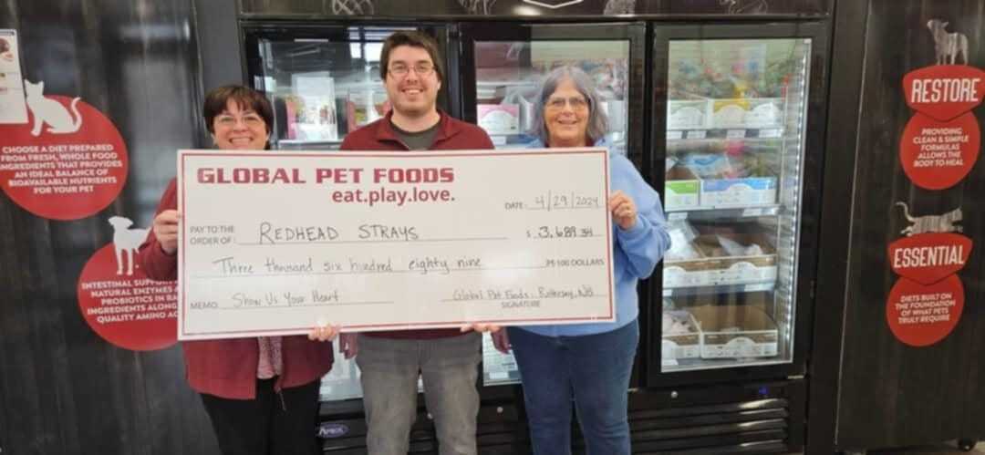 Redhead Strays Feline Friends