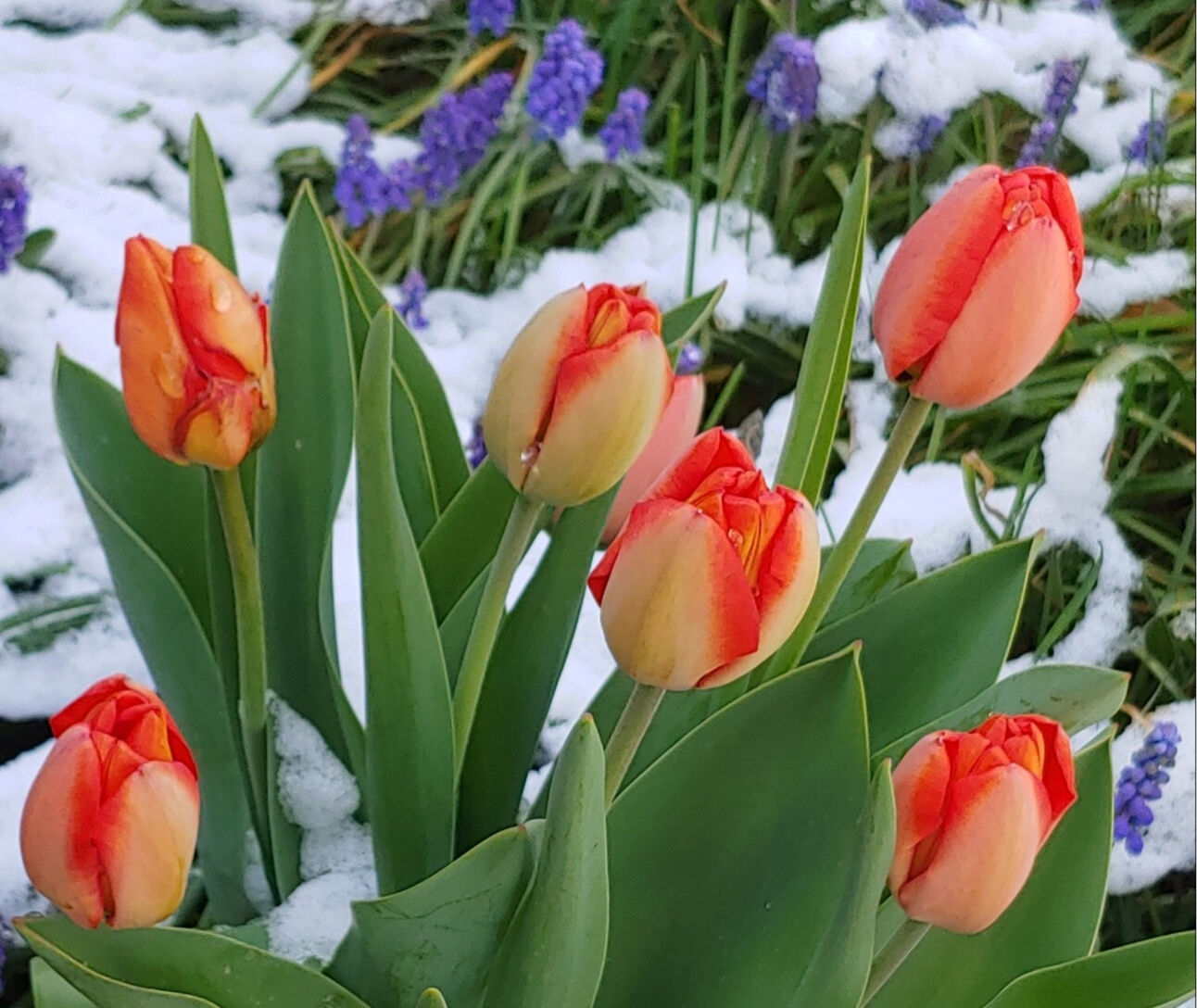 Tessa Fuqua Artworks April Newsletter