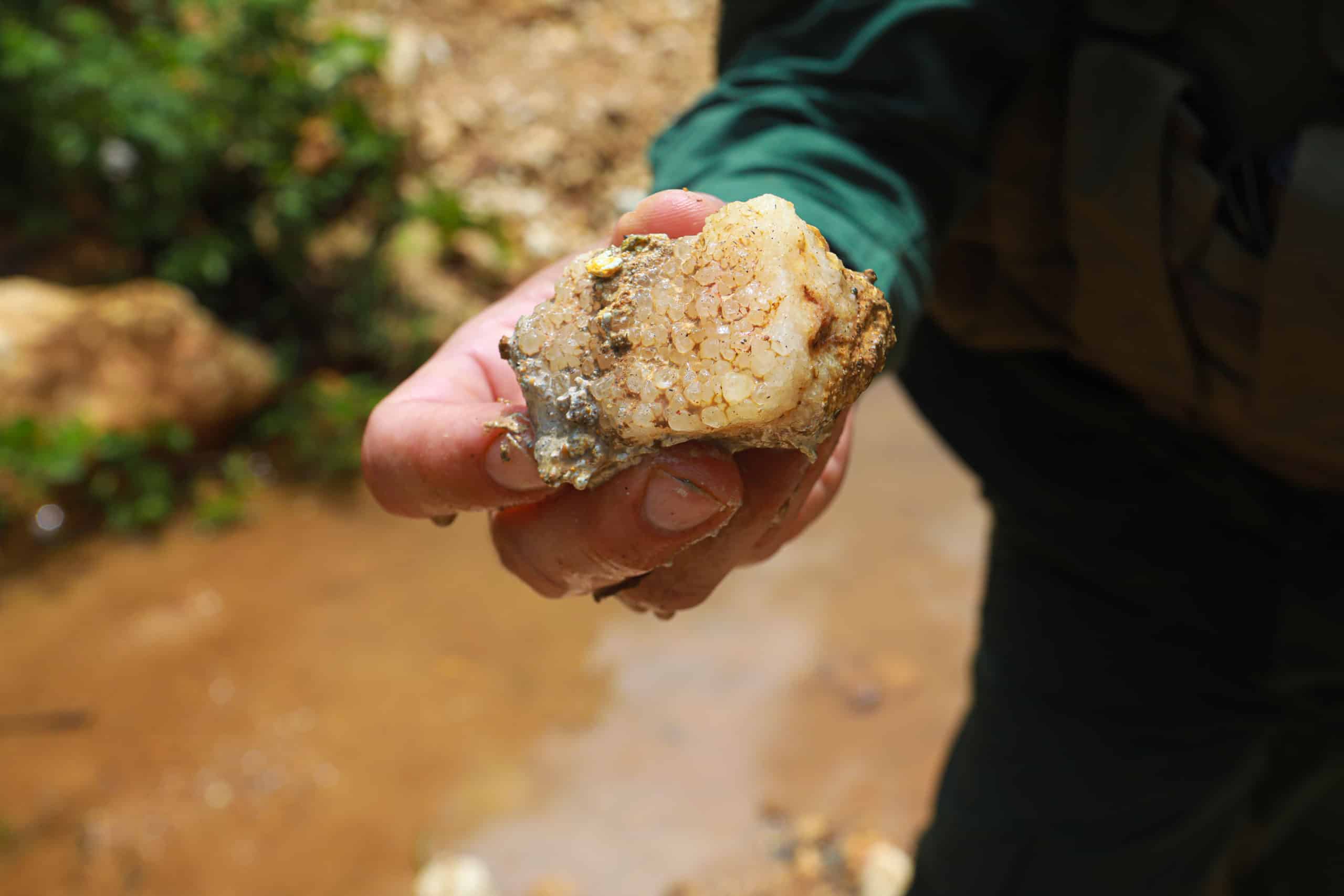 🪢🪙 Chaves mantiene respaldo, Laura empuja Crucitas y el Banco Central avisa sobre un shock inflacionario