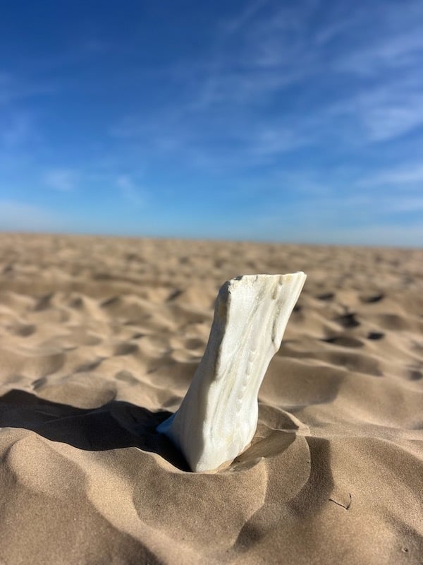 Dark Optimism: Ghost in the Stone