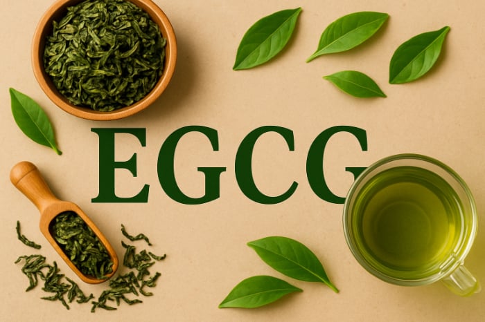 NIH Studies - Green Tea