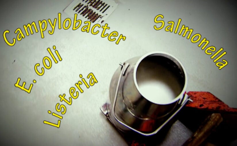 Raw milk sickens 21; FDA reluctance to order a recall