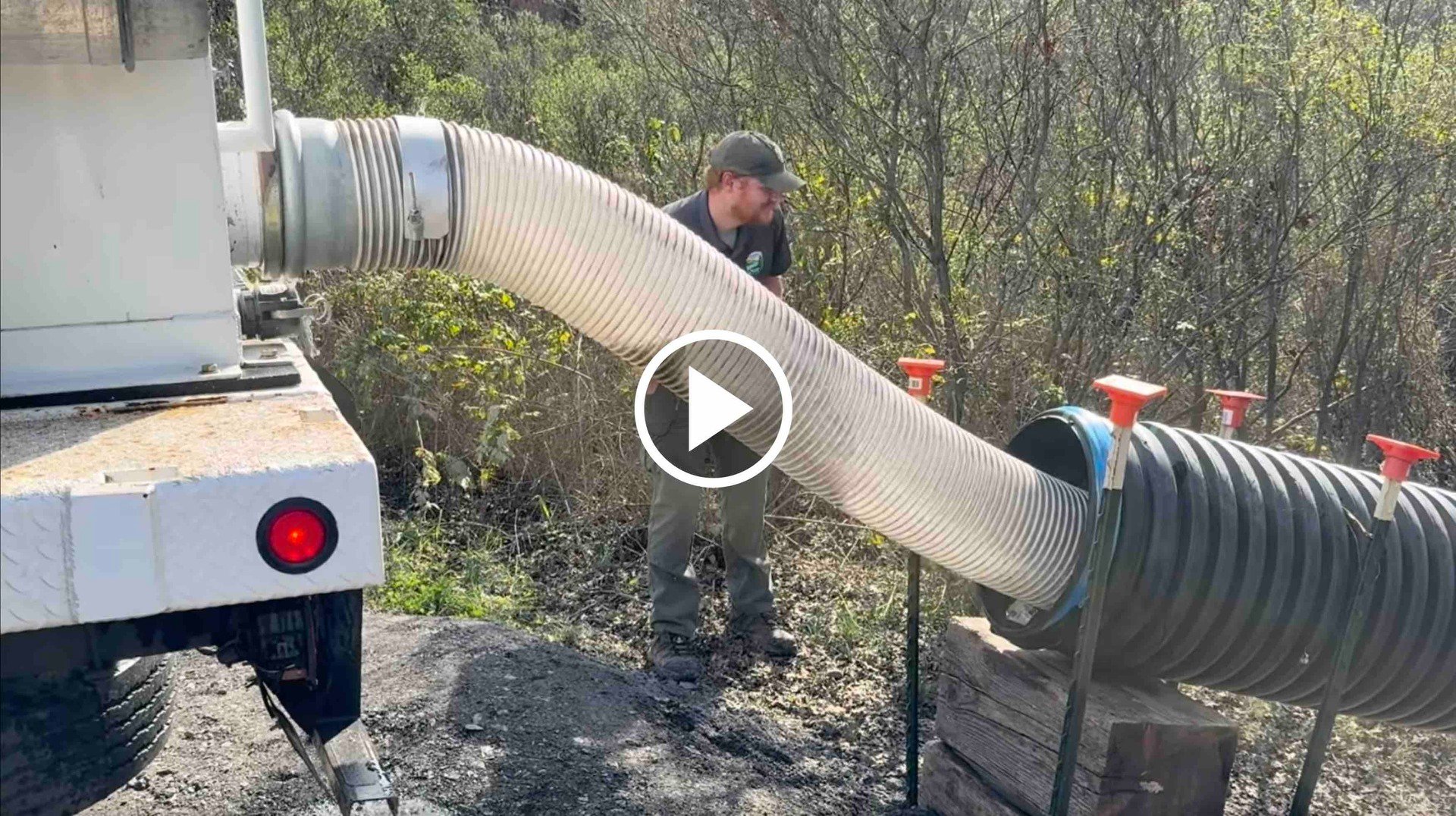 🏡 Wild B-Ball Game + Bakery Tipping Debate + North Street Arrest