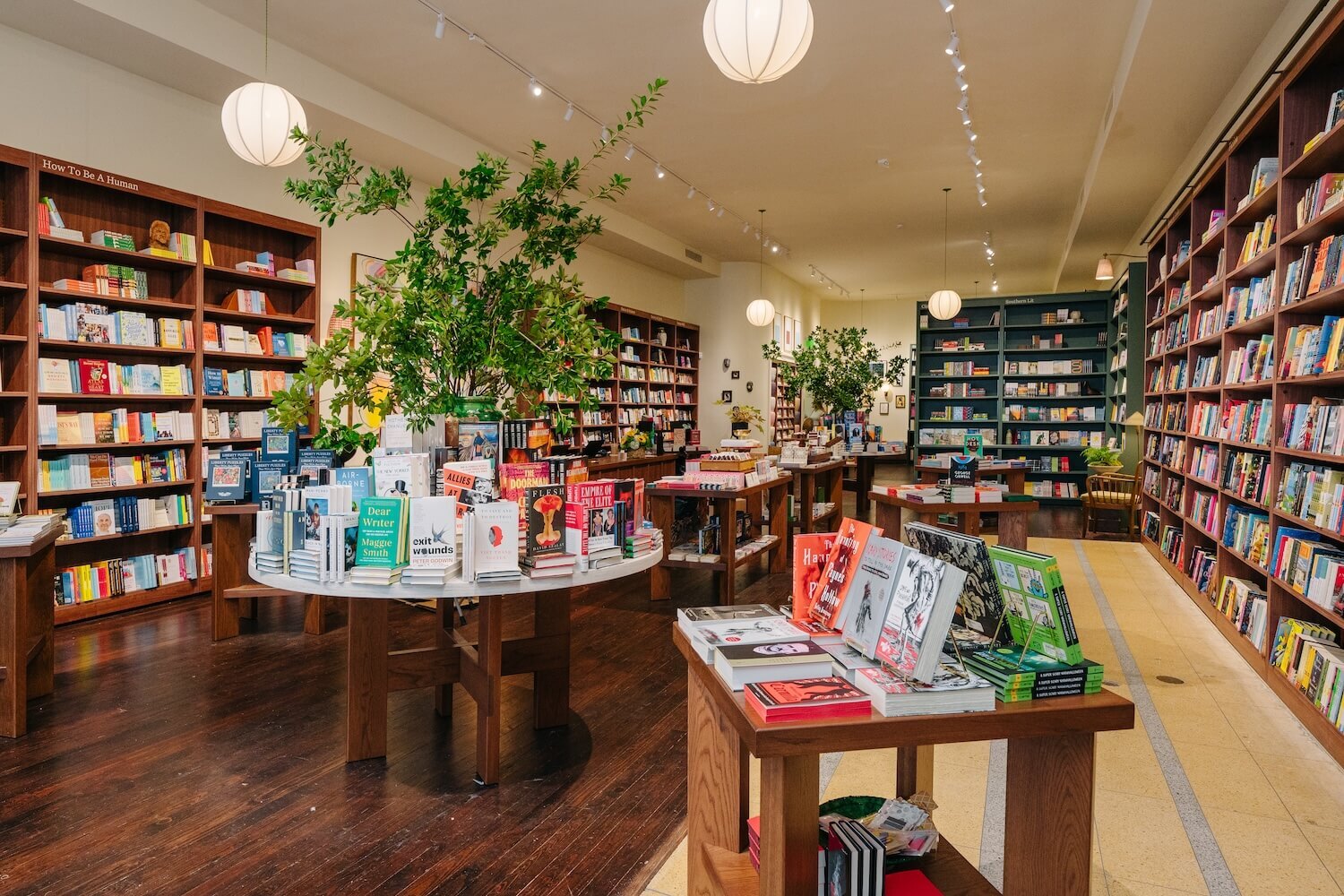 🌴 Ladybird Books makes a bold entrance