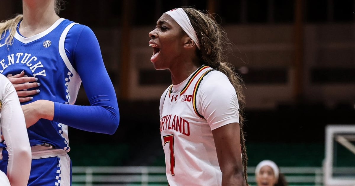 How Three Terrapins Found Their Home at Maryland