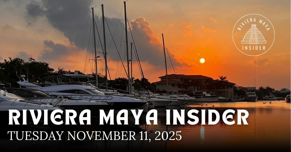 🌴 Bull Shark Season, Climbing at Coba and Cruising for Charity