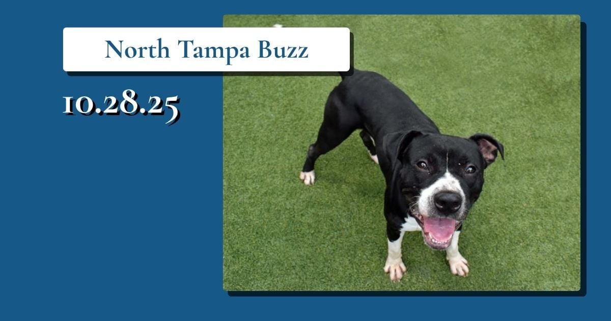 👻 Sweet News & Spooky Fun Ahead