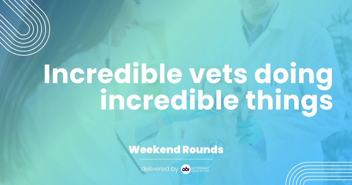  👏 Incredible vets doing incredible things