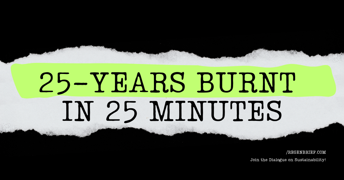 The Cork Economy: When 25-Year Investments Burn in 25 Minutes