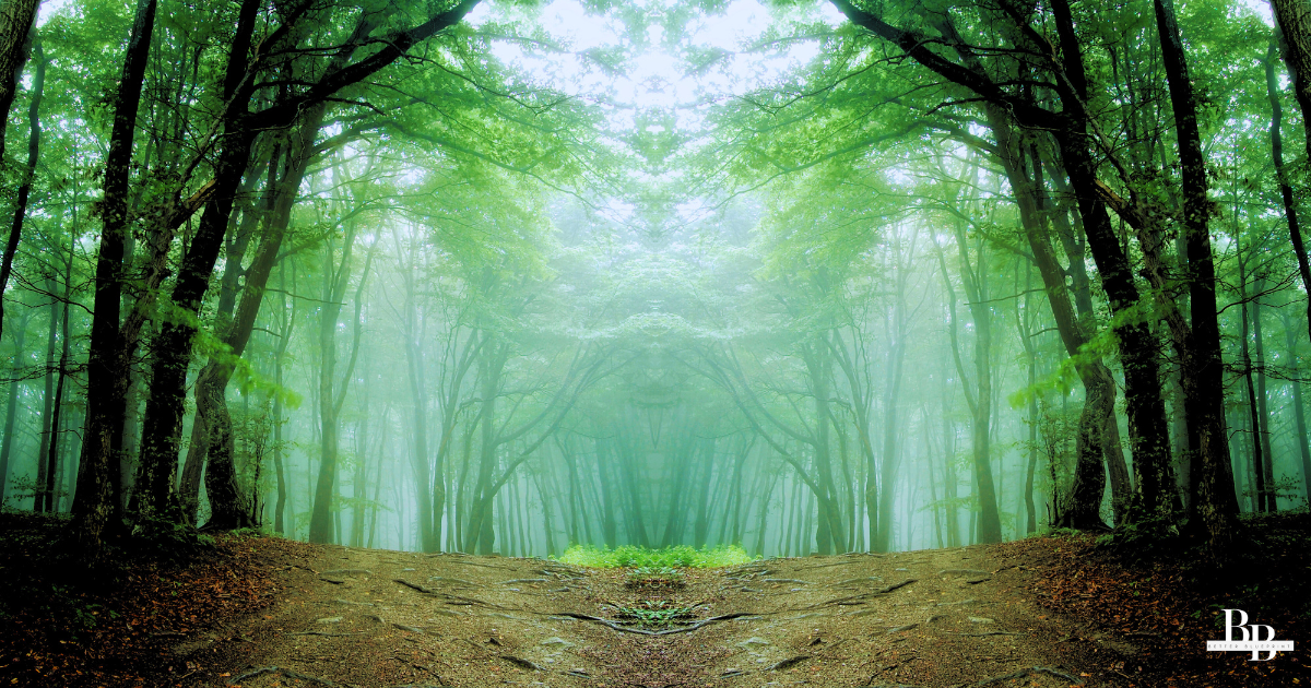 The Better Blueprint 