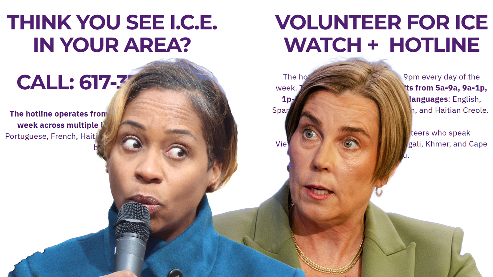 Healey, Campbell gave ICE Hotline NGO $100K in state grants last year