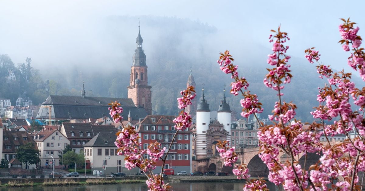 Heidelberg erleben vom 06.04. bis 12.04.2026 (KW 15)