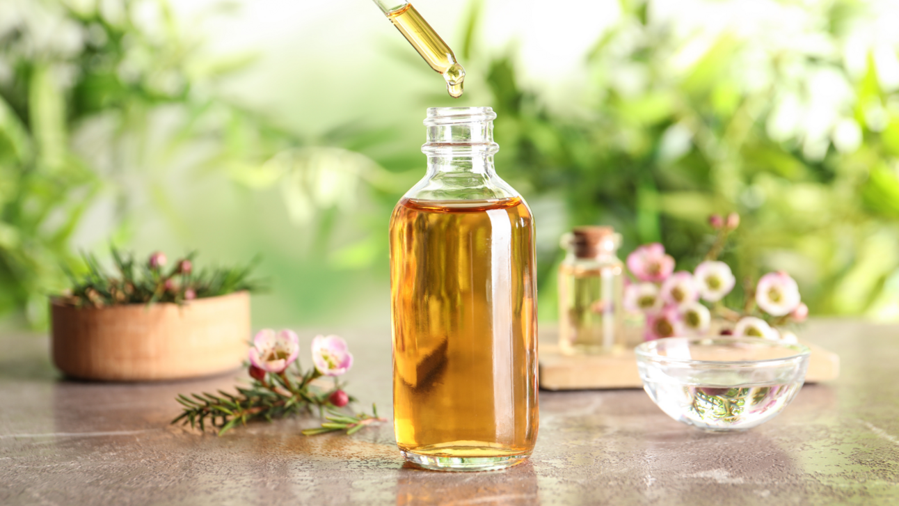 That Amazing Melaleuca Oil!