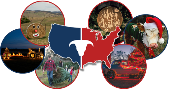 CATTLEUSA DRIVE - Thursday, December 25th