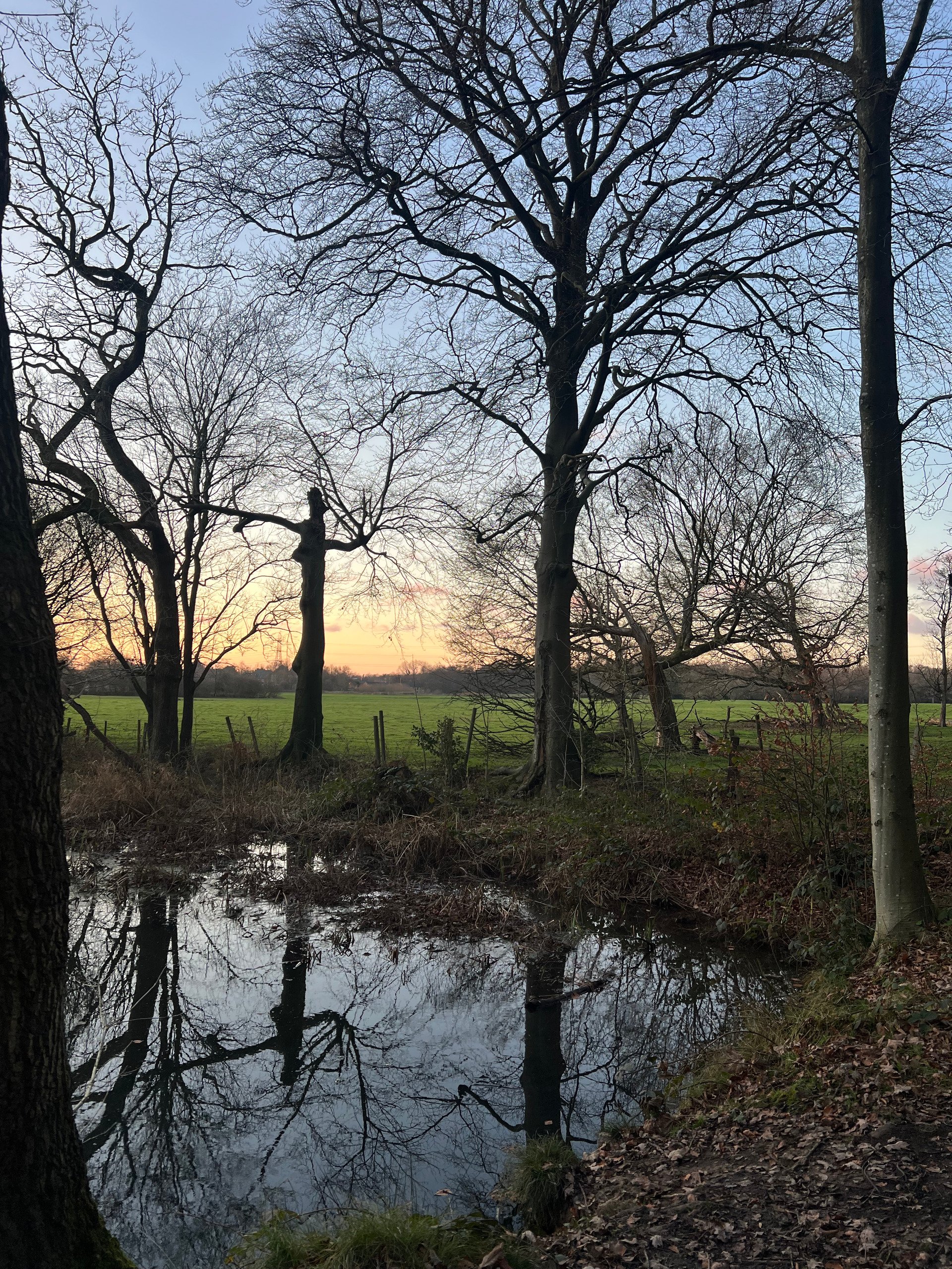 What's ahead this January | Issue 002