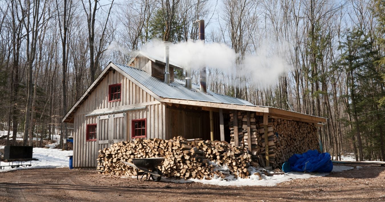 Maple Weekend Is Here 🍁 + Mutt Madness Round 2 Is On 🐶