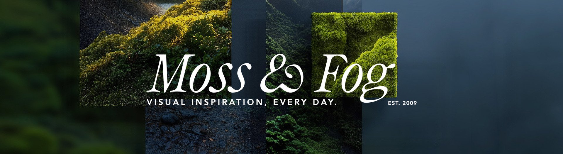 This week on Moss and Fog... a brand new email format!