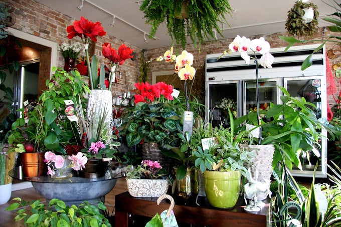 #007 - A Flower Shop full of Scent, Color and a Symphony in Petals