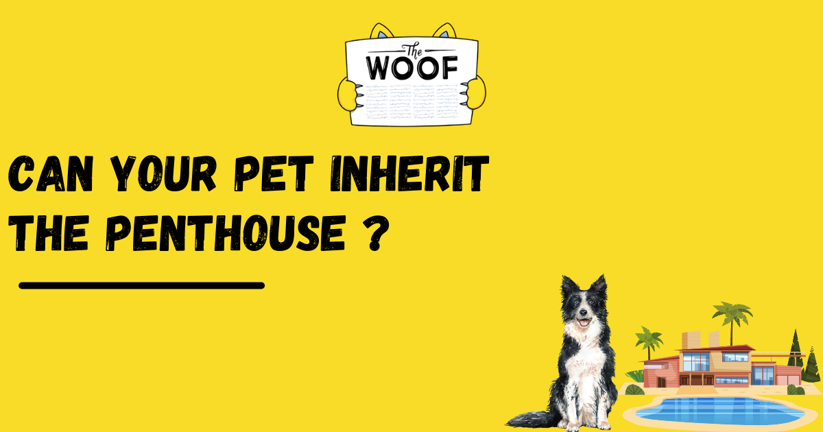 Can Your Pet Inherit The Penthouse ?