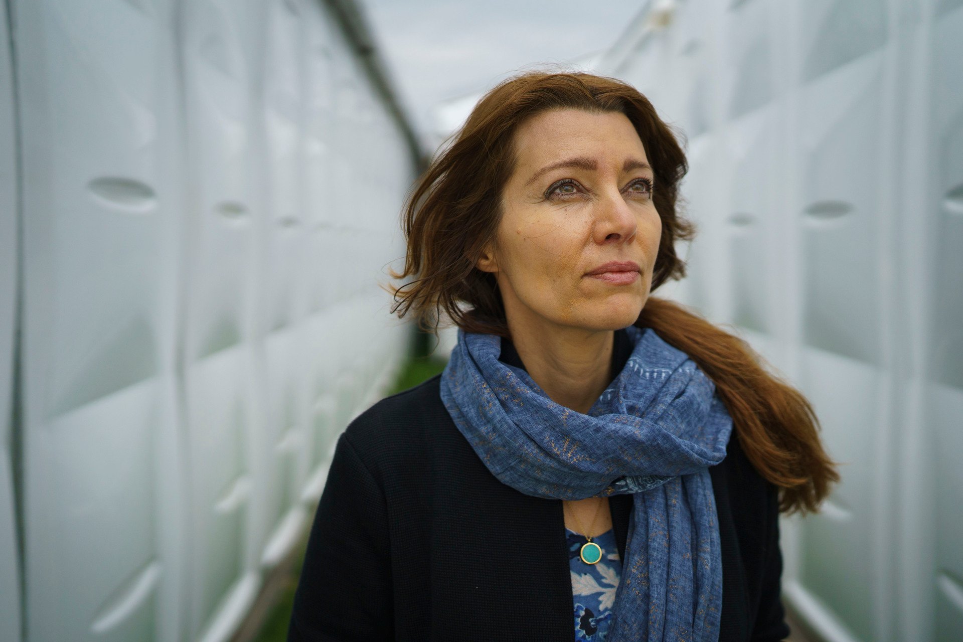 The Recommender: Elif Shafak