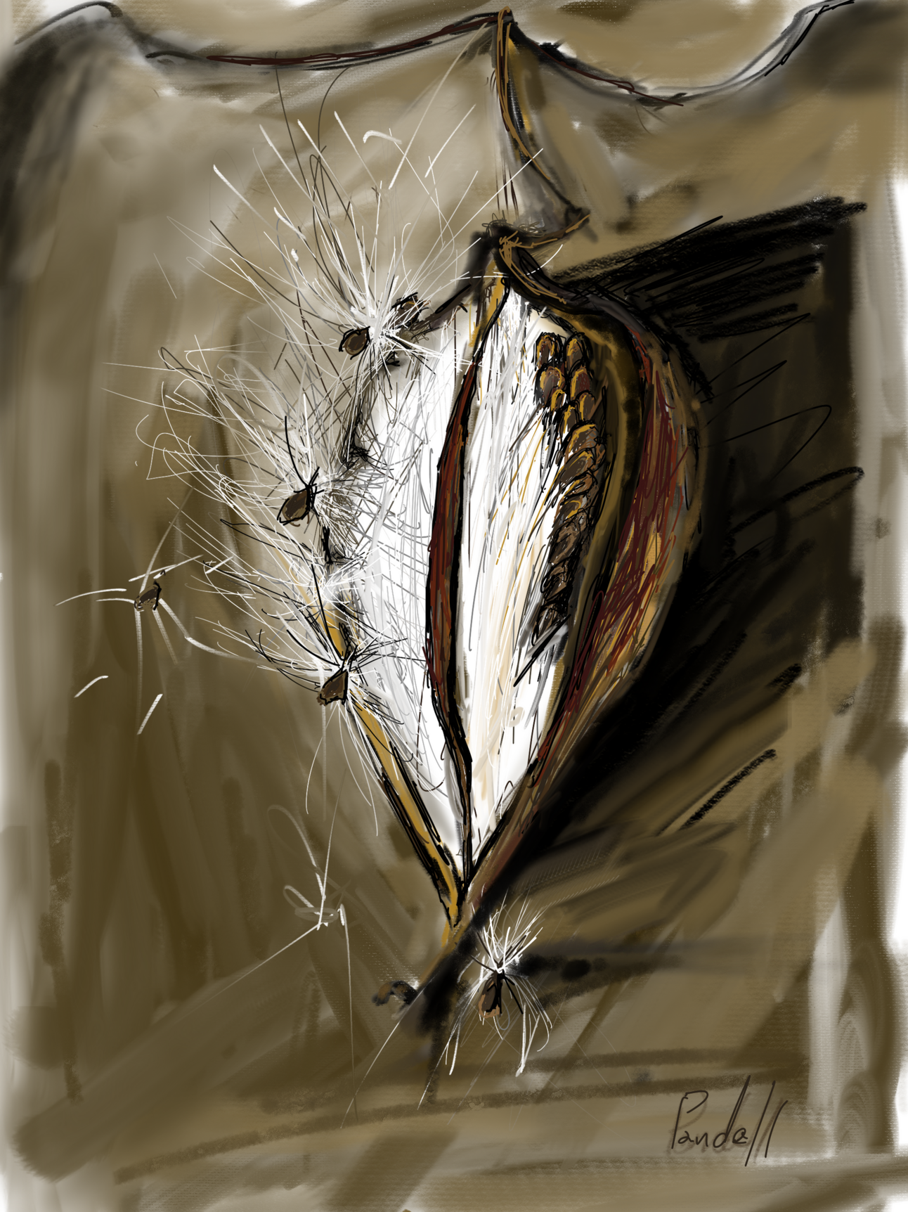 Milkweed; DEDICATED TO HOMERO GOMEZ GONZALEZ