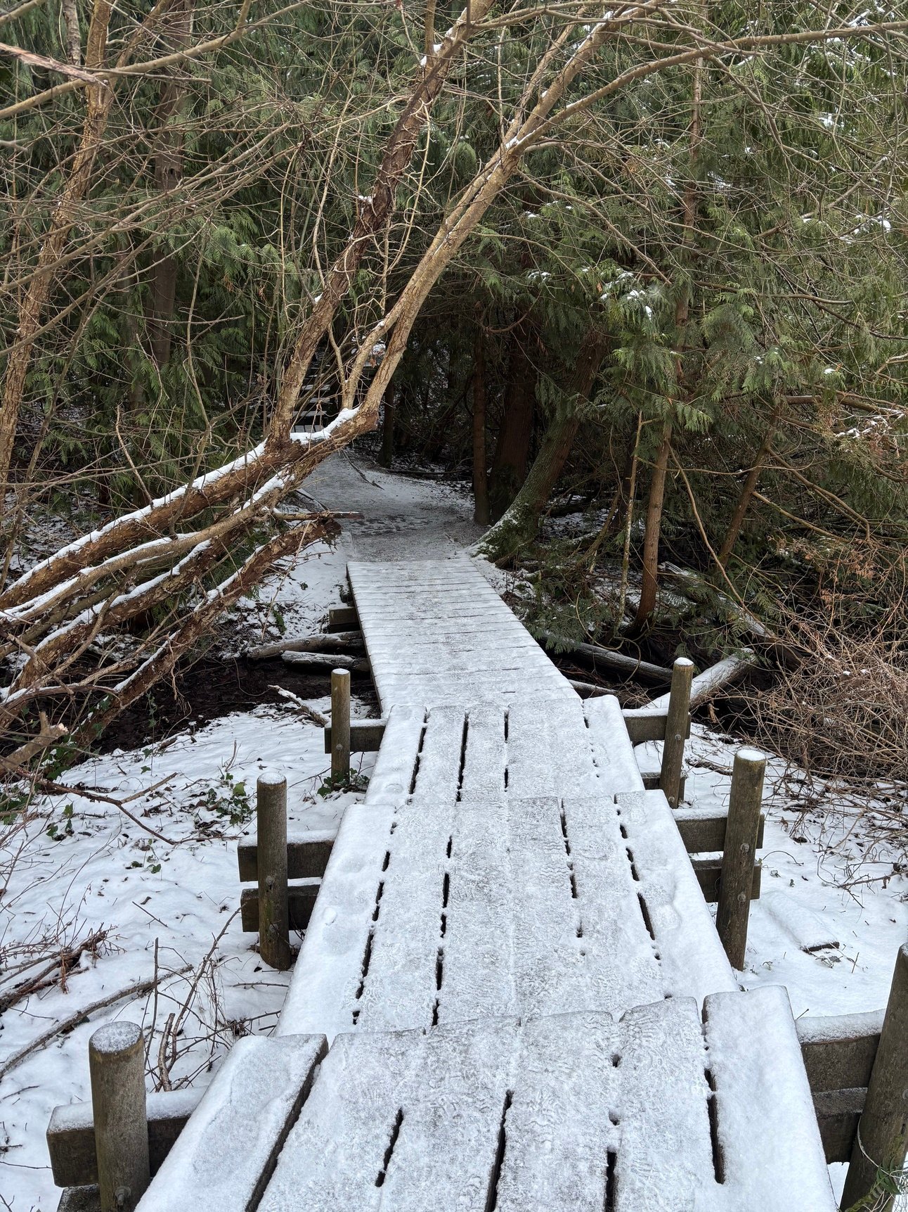 Monthly Update - February 2025