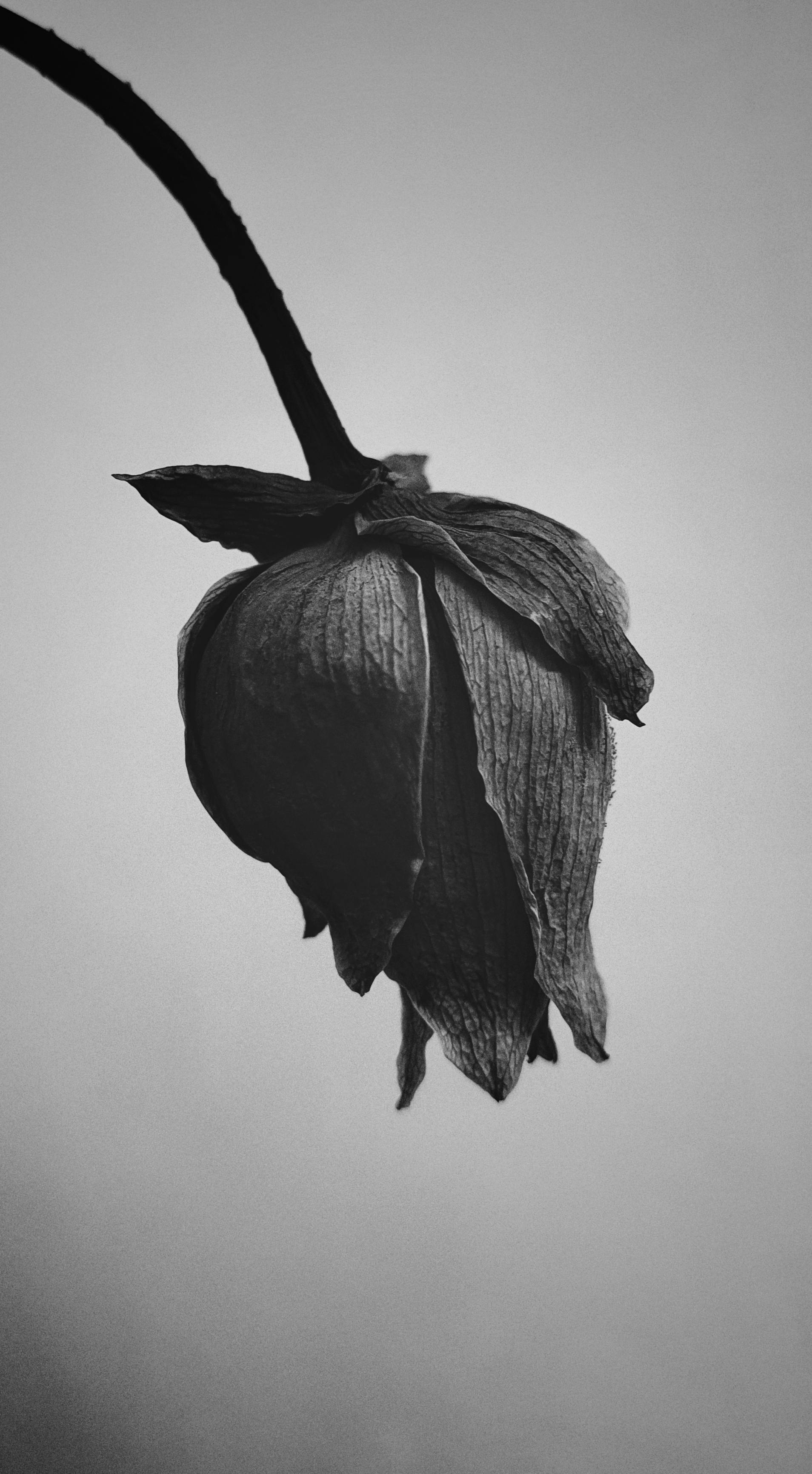 Garbage In, Garbage Out