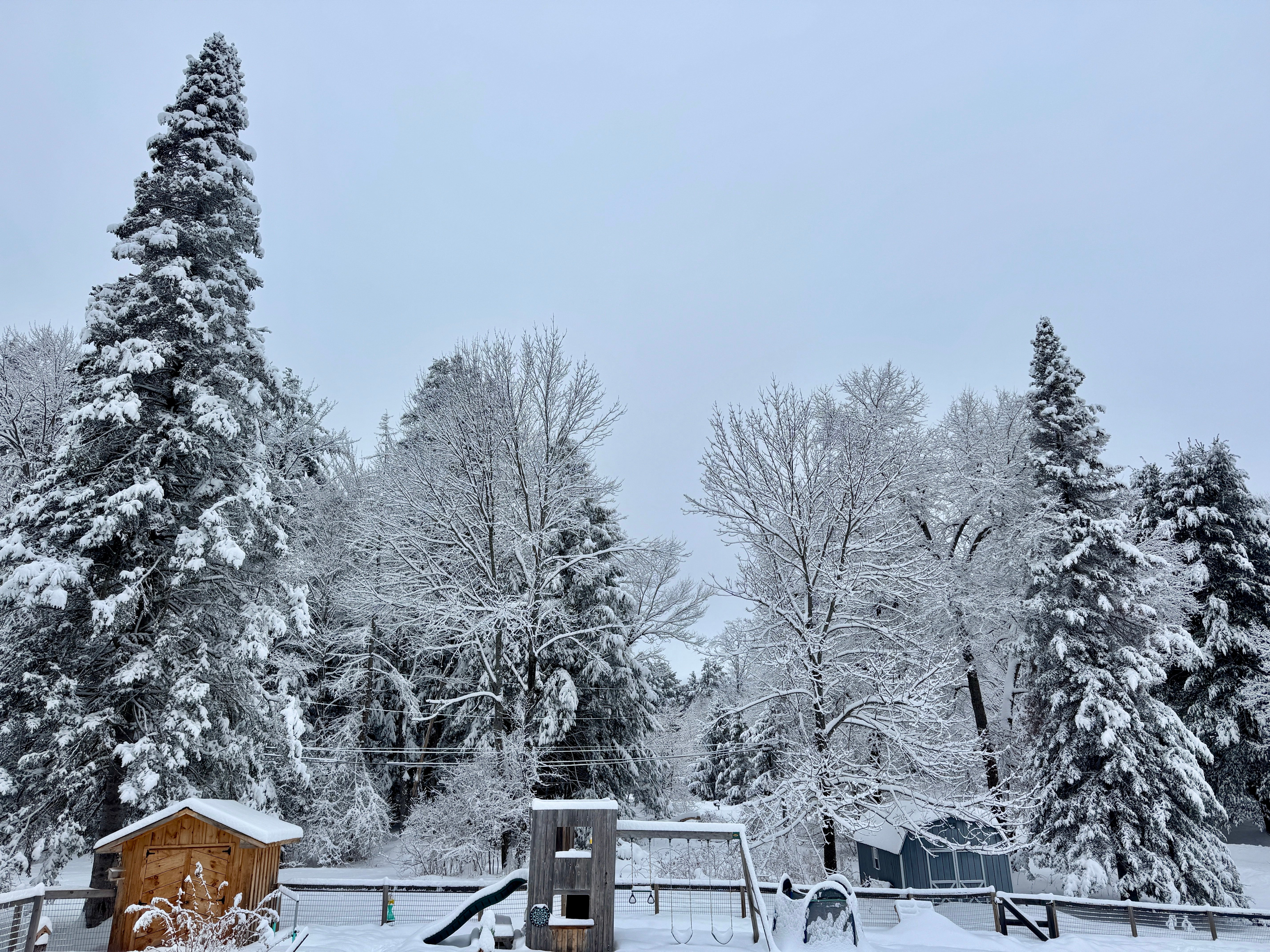 Click. Read. Love. 2.22.26