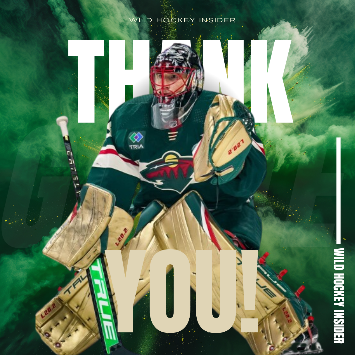 Minnesota Wild vs. Ducks Recap (W) 