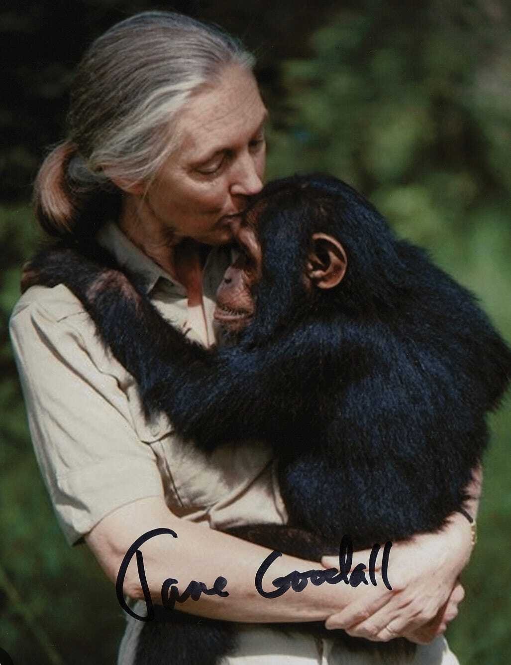 A tribute to Jane Goodall