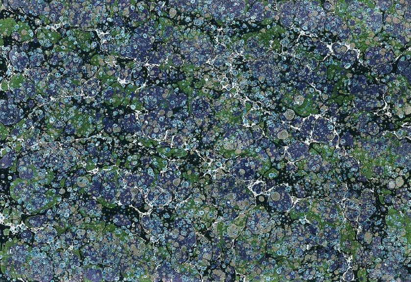 Newsletter | Μάρτιος 2026