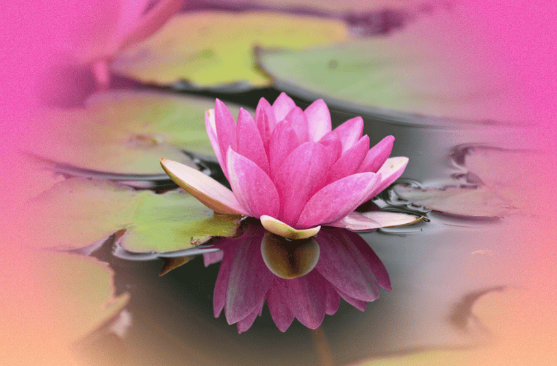 4 Mindset Shifts That Turn Self‐Blame Into Self‐Compassion