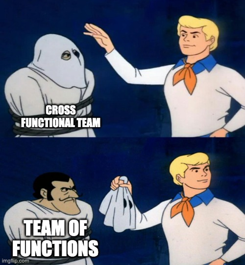 Cross-Functional Teams vs. Teams of Functions: The Hidden Difference That Defines High-Performing Product Teams