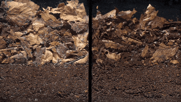 Decomposition is Life 🍂