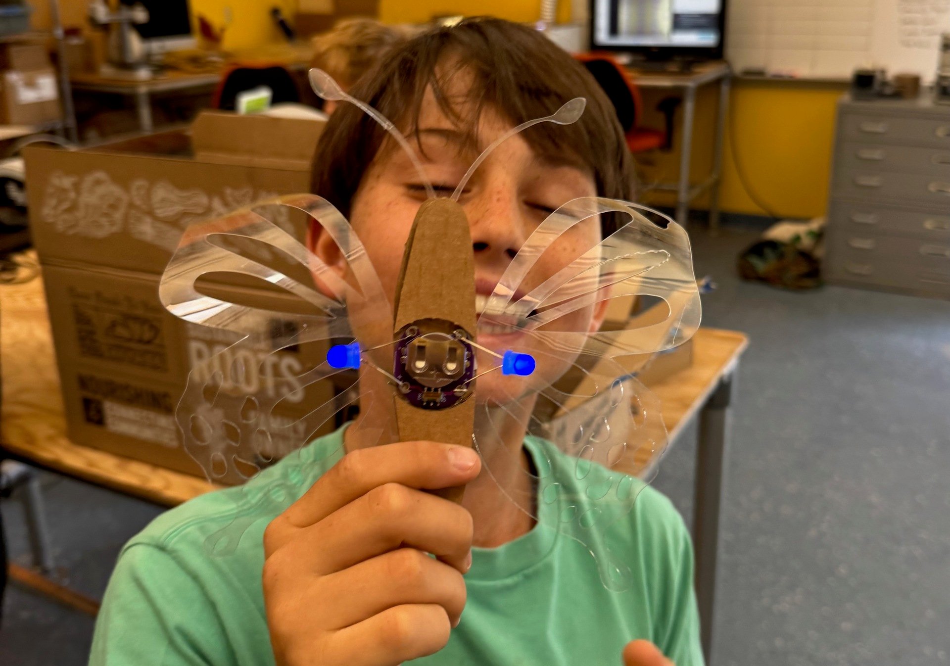 Butterflies Are Free