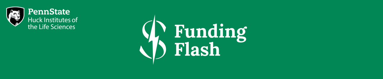 Introducing the Funding Flash