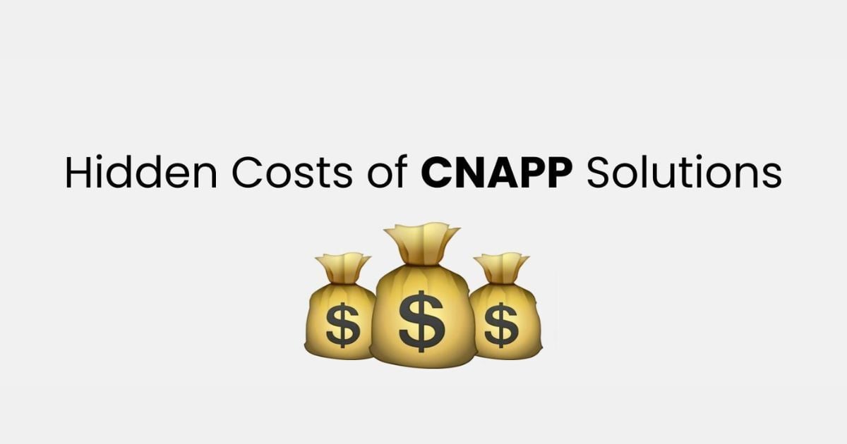 Hidden Costs of CNAPP Solutions