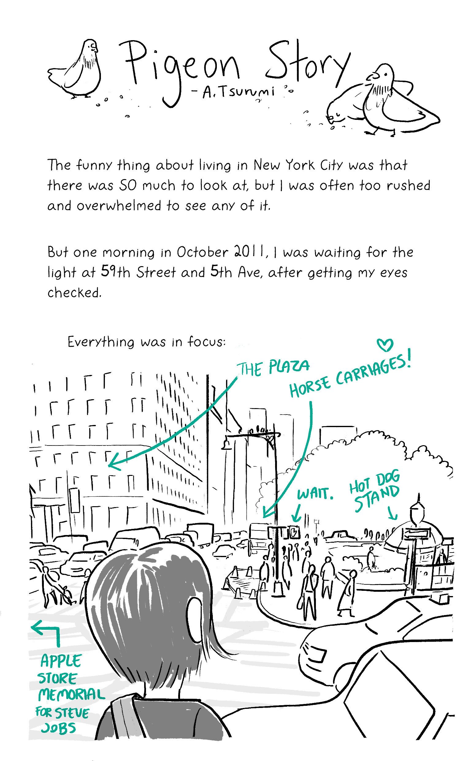 A Short Pigeon Story