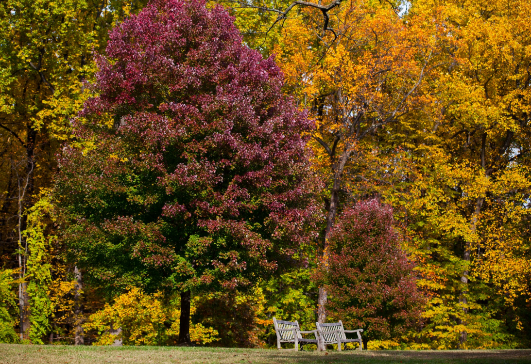 🧤 Cozy plans incoming