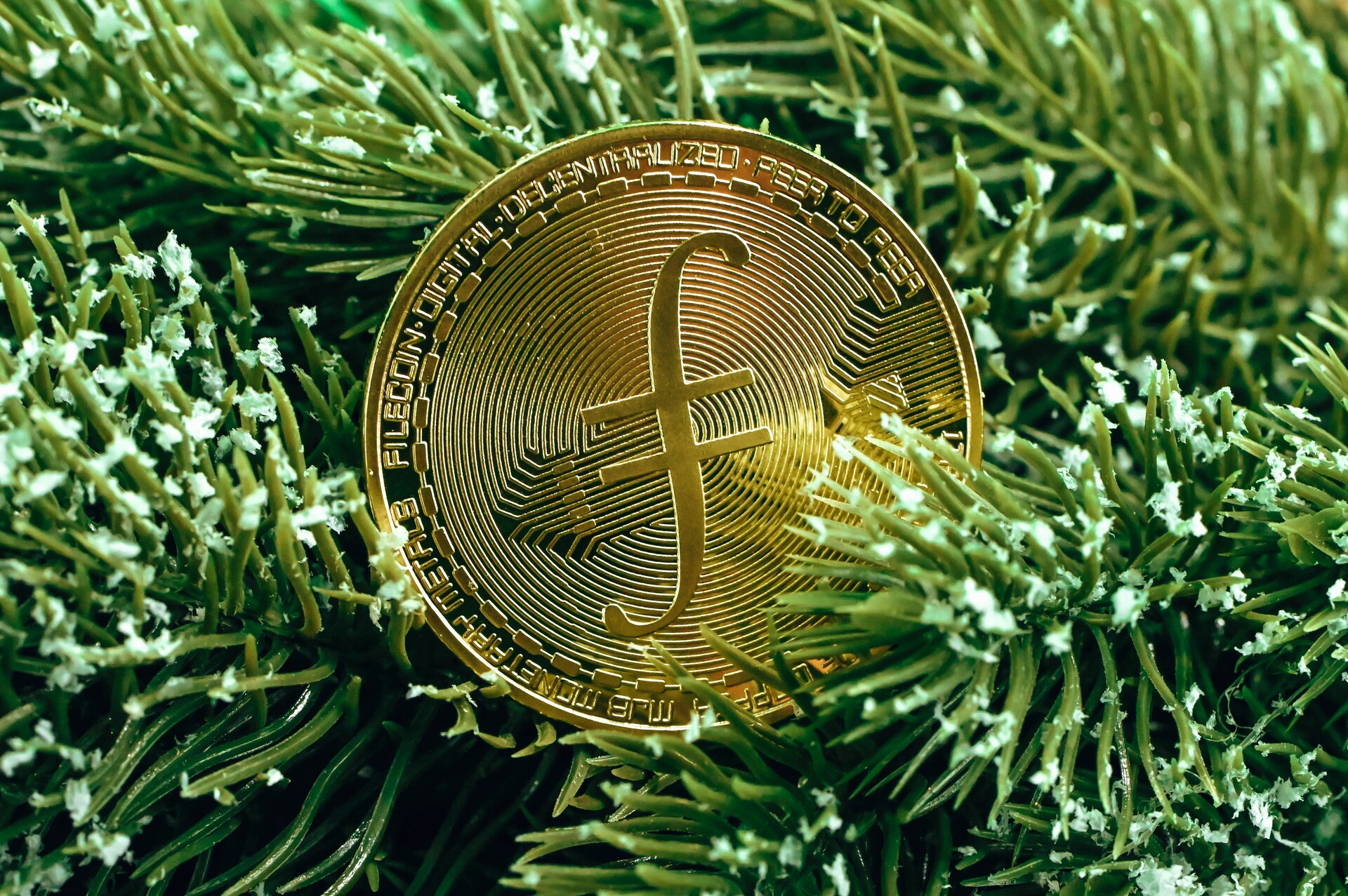 Special Holiday Edition