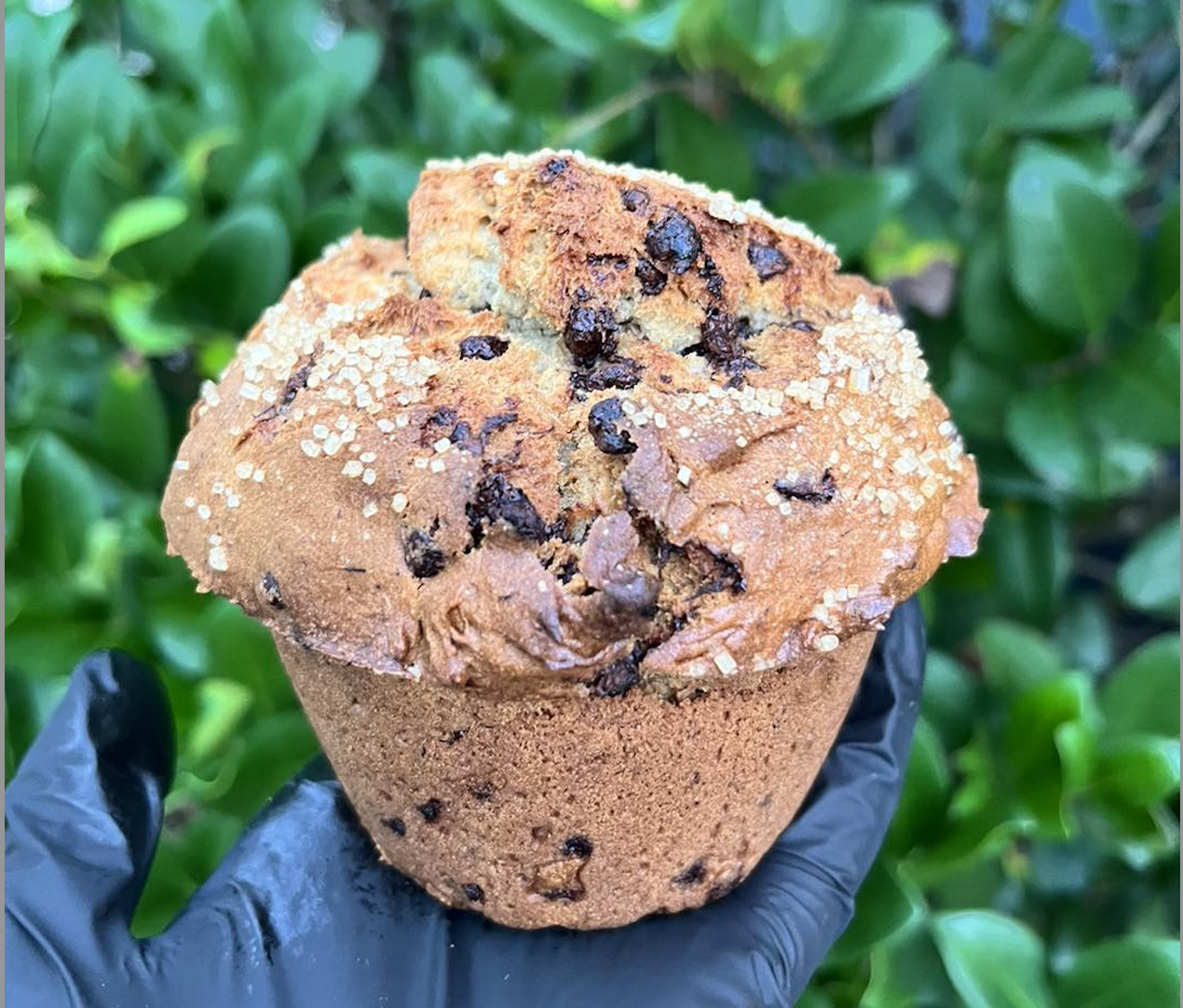 🌴 The Rustic Muffin