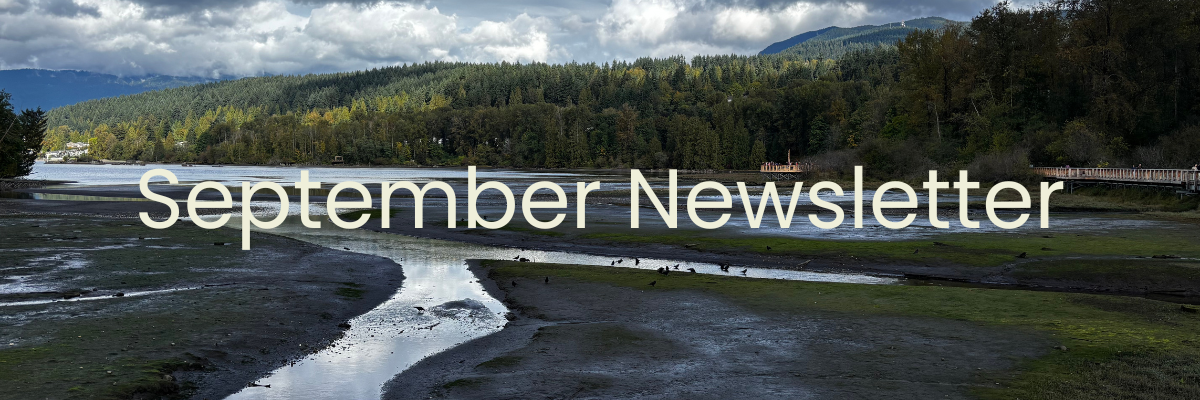 Monthly Update - September 2025