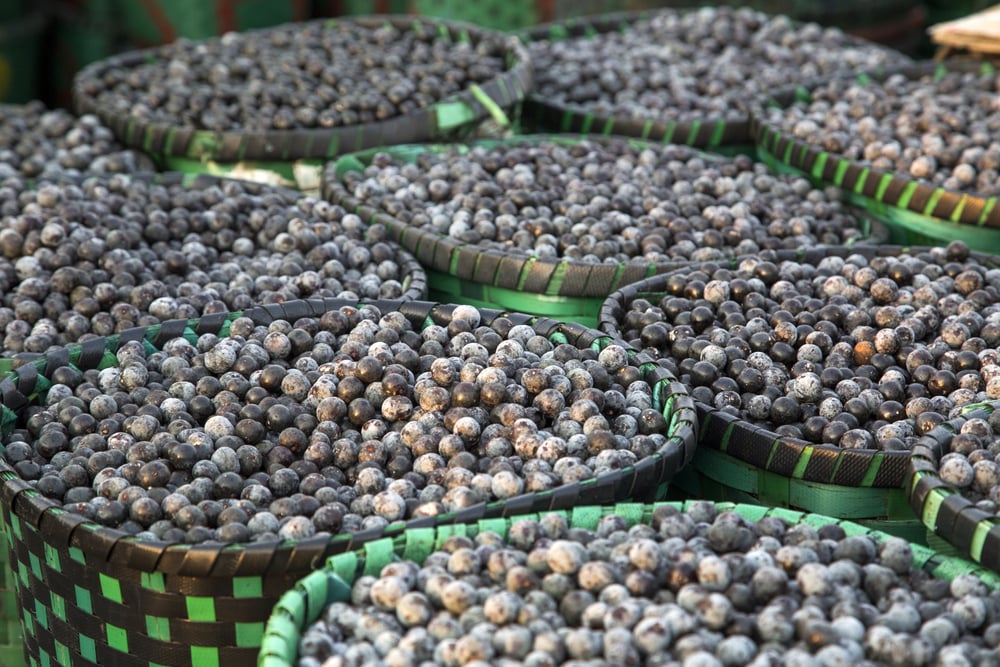 🫐 From superfood to superfuel