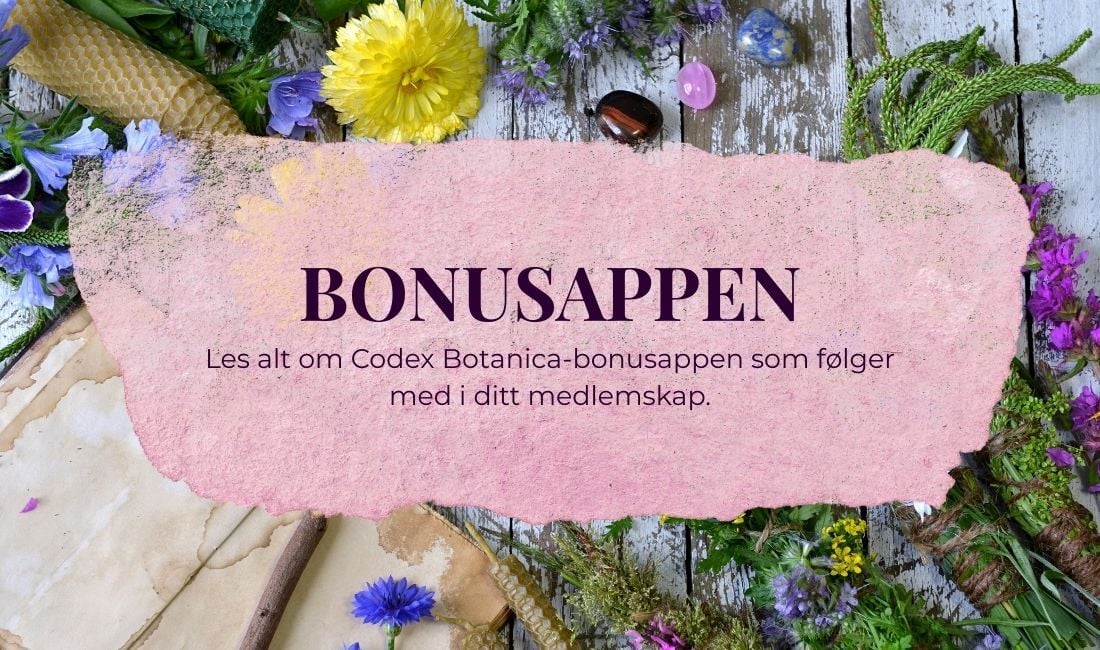 Bonusappen